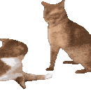 эшик
